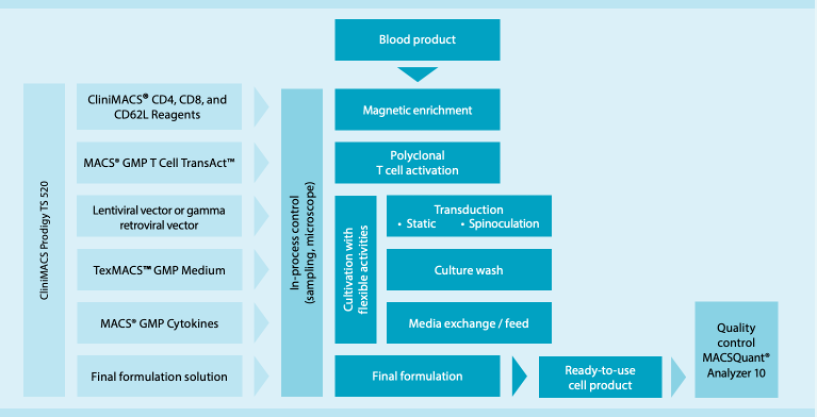 使用 CliniMACS Prodigy 平台上的 CliniMACS Prodigy Tubing Set 520 在封閉系統中產生基因工程 T 細胞的完整過程