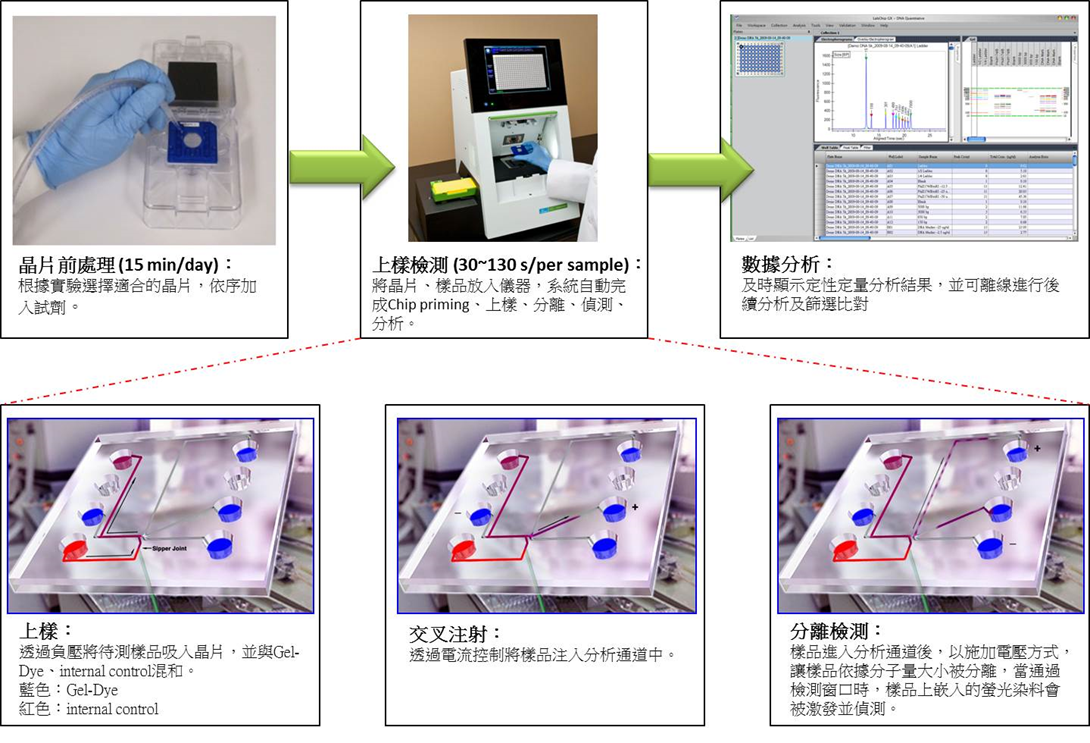 Biotx Labchip LabChip GX/GXII Touch 自動化微流體核酸與蛋白質分析儀 - 《博克科技》專業服務‧誠心以赴 Always for You