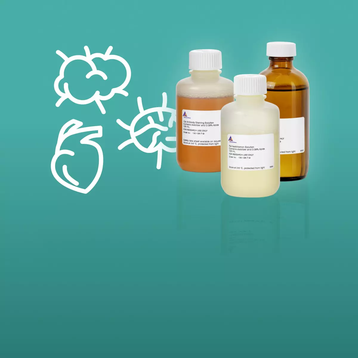 MACS Clearing Kit