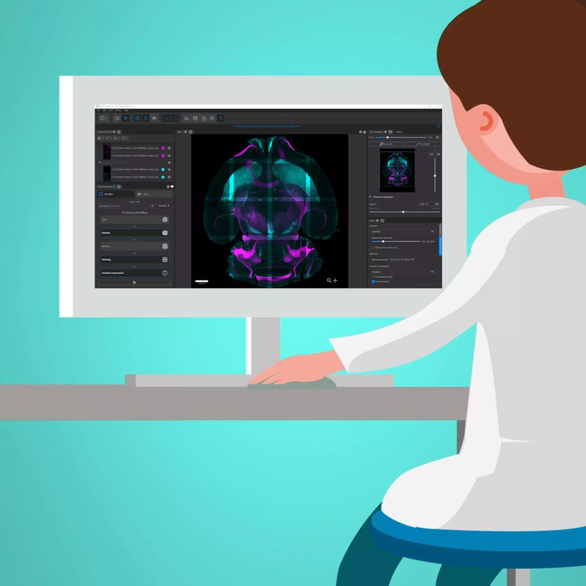 MACS iQ View 3D Large Volume 軟體介面