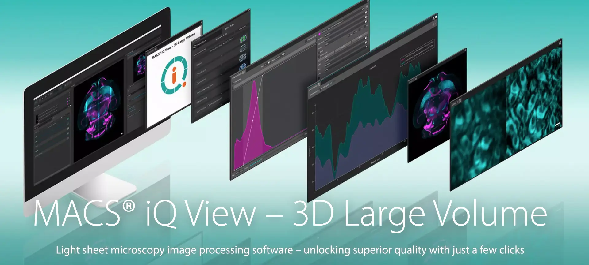 MACS iQ View – 3D 大體積影像處理軟體操作介面