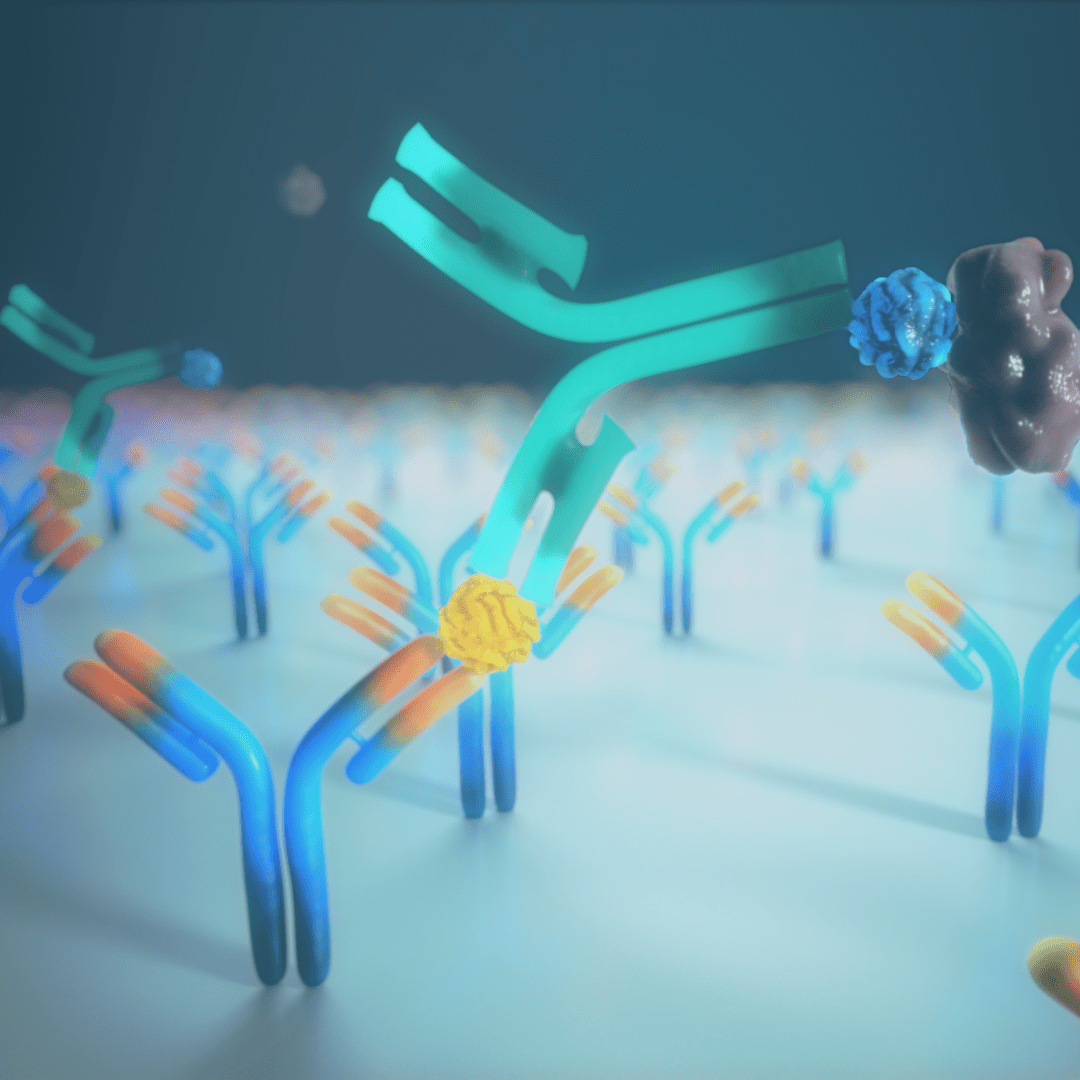 Detection Antibody Binding