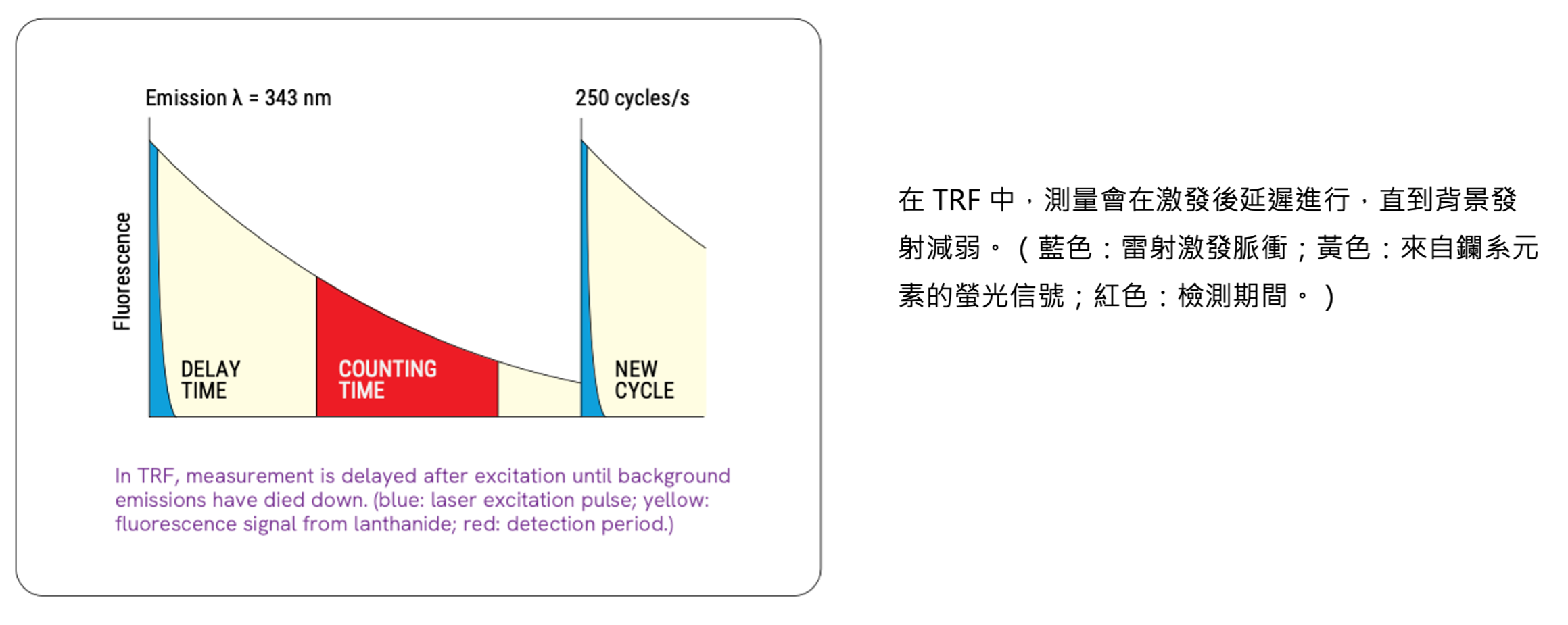 TRF 時序示意圖