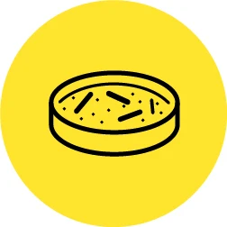 細胞培養與細胞影像