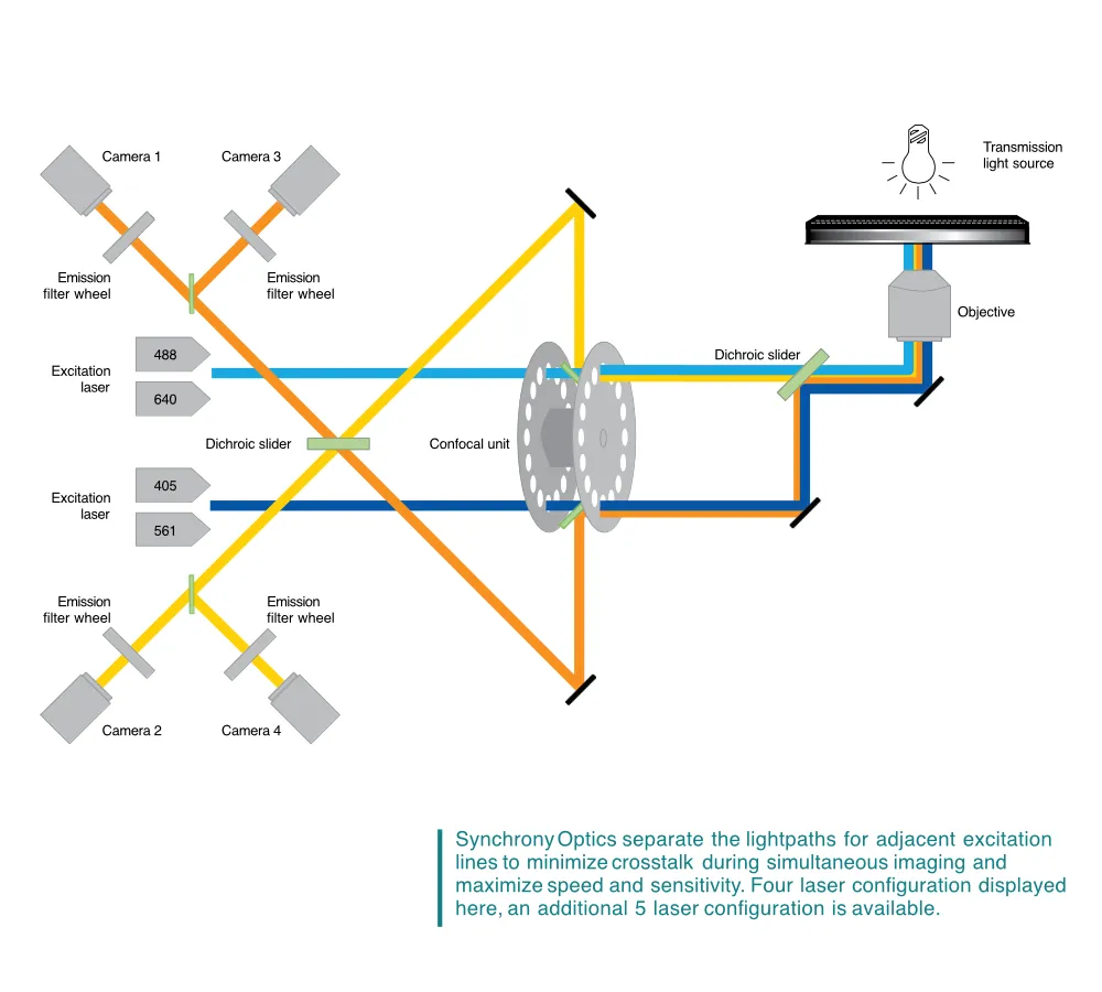 Synchrony Optics dual view lightpath schematic showing 405 488 561 640 nm excitation lasers dichroic sliders four cameras and emission filter wheels with non overlapping pinhole patterns