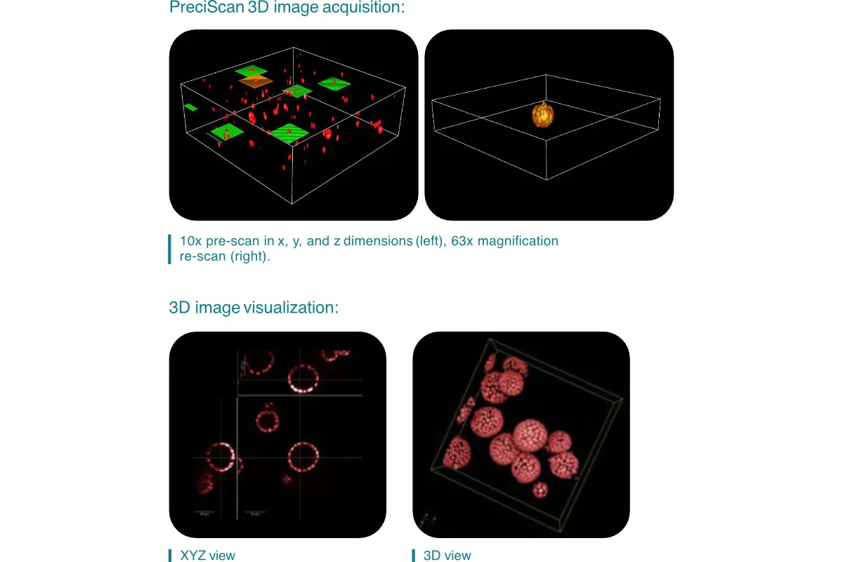 PreciScan intelligent image acquisition workflow showing 10x magnification pre scan in xyz dimensions on the left and 63x magnification re scan on the right plus 3D viewer and XYZ viewer for organoid imaging