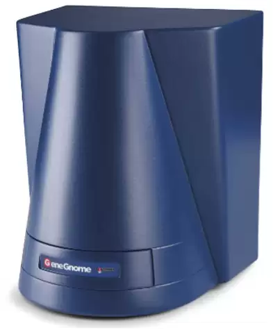 GeneGnome XRQ 化學發光成像系統