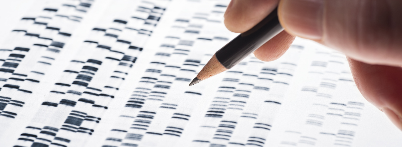 Syngene Gel Documentation Systems Background
