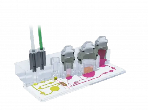 HUMIMIC Chip4 四器官晶片