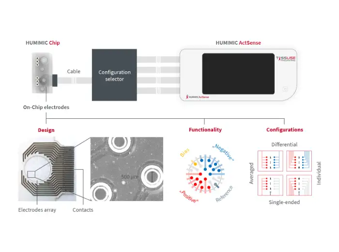 HUMIMIC ActSense 與 Chip2 電極配置示意圖