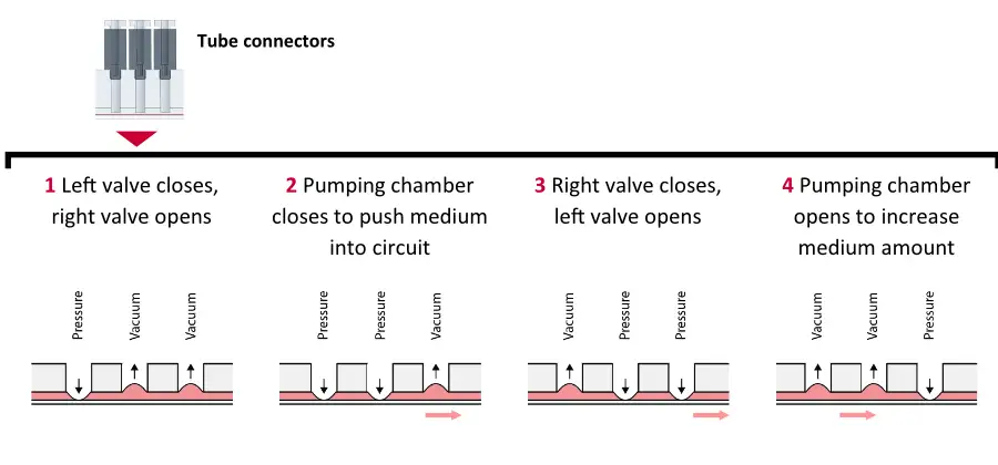 HUMIMIC 器官晶片內建式氣動泵浦原理示意圖