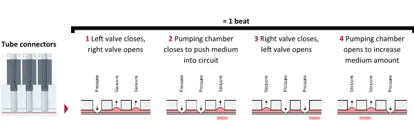 HUMIMIC Chip 內建泵浦原理示意圖 — 三薄膜交替加壓真空驅動流動