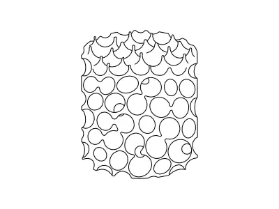 HUMIMIC Sponceram 羥基磷灰石塗佈氧化鋯 3D 陶瓷骨髓支架
