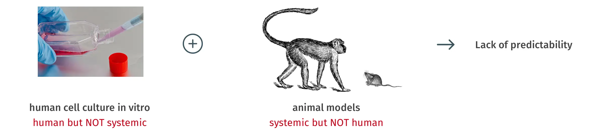 The Problem：動物模型與人體生理反應落差