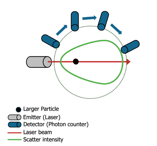 Schematic representation of RADLS
