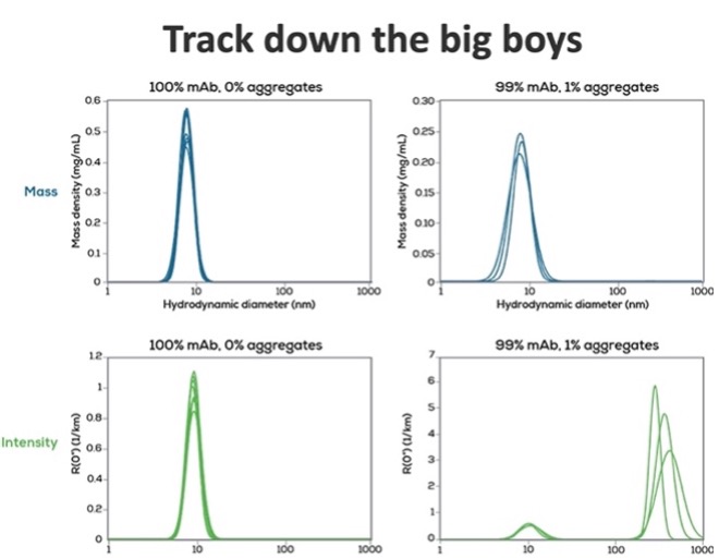 Track down the big boys