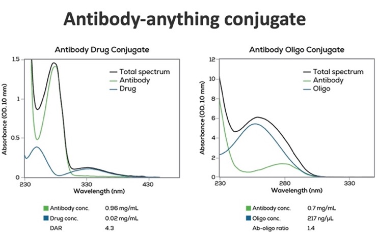 Antibody-anything conjugate