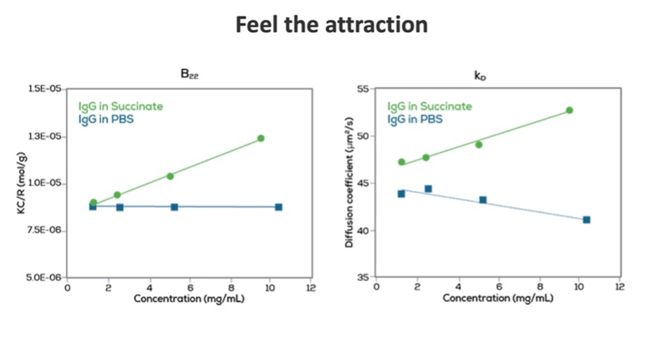 Feel the attraction