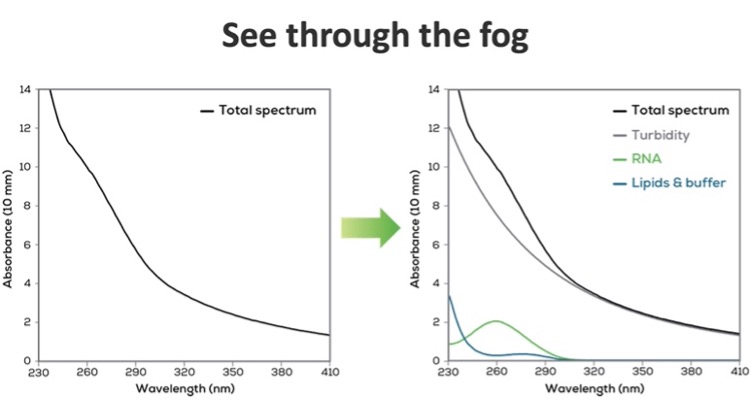 See through the fog