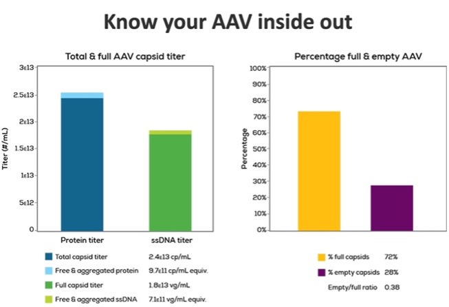 Know your AAV inside out