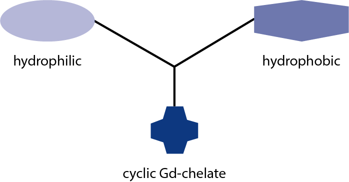 GadoSpin F - Atherosclerosis Imaging Agent