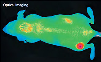 Customized Optical Agents
