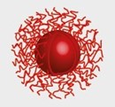 ExiTron P 聚合物結構