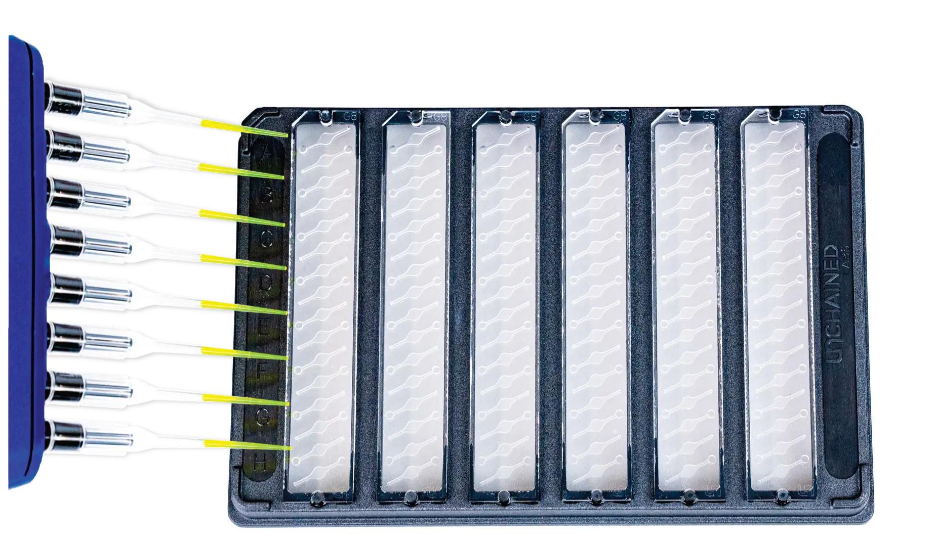 Aunty 96孔板與多通道移液器裝載示意圖