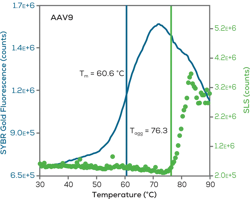 AAV病毒載體穩定性分析圖