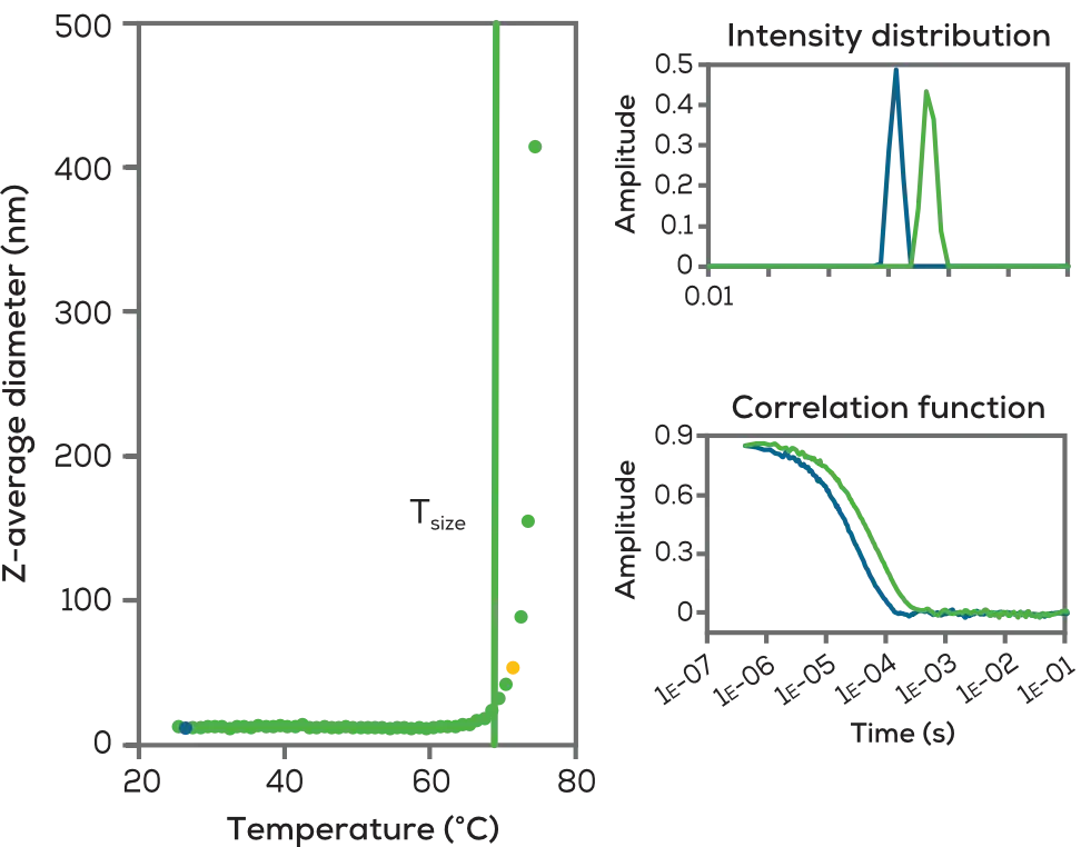 DLS聚集分析圖組（包含Z-average diameter vs Temperature、Intensity distribution、Correlation function）