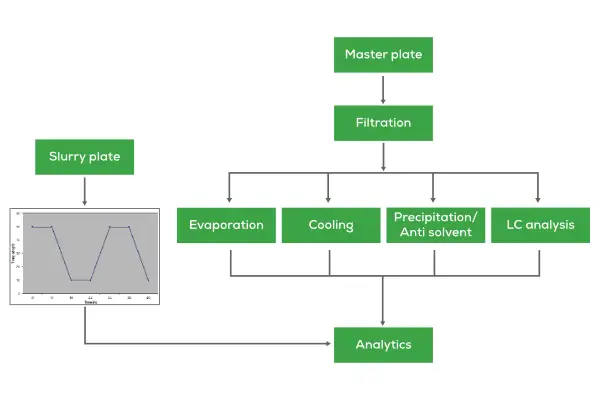 Polymorph screening workflow - 多形性篩選工作流程圖