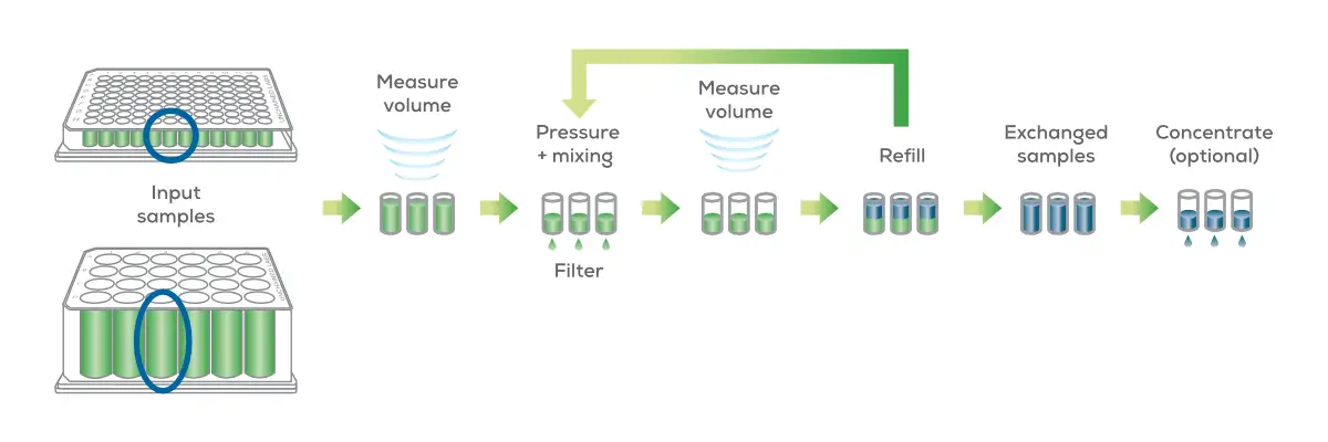 Big Tuna 緩衝液交換工作流程示意圖