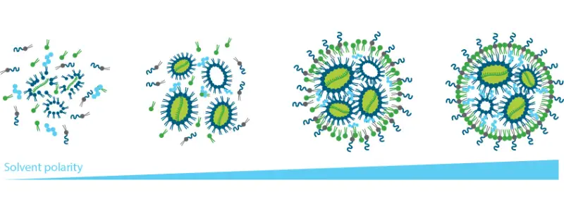 LNP 脂質奈米顆粒自組裝過程示意圖