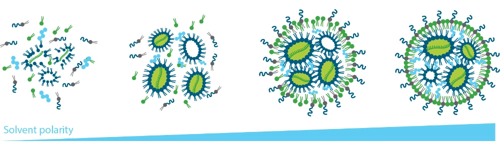 LNP 在混合過程中的自組裝示意圖