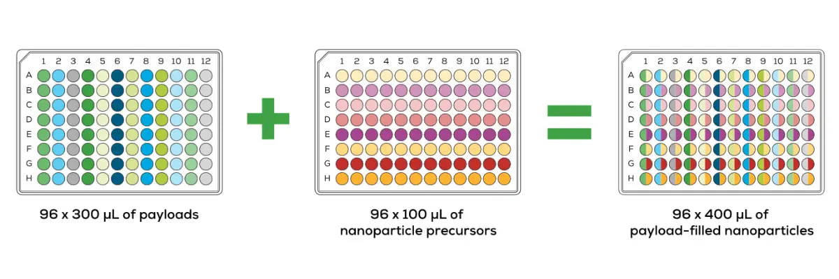 96-well plate matrix workflow