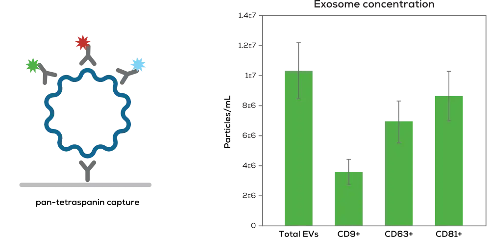 外泌體濃度分析柱狀圖