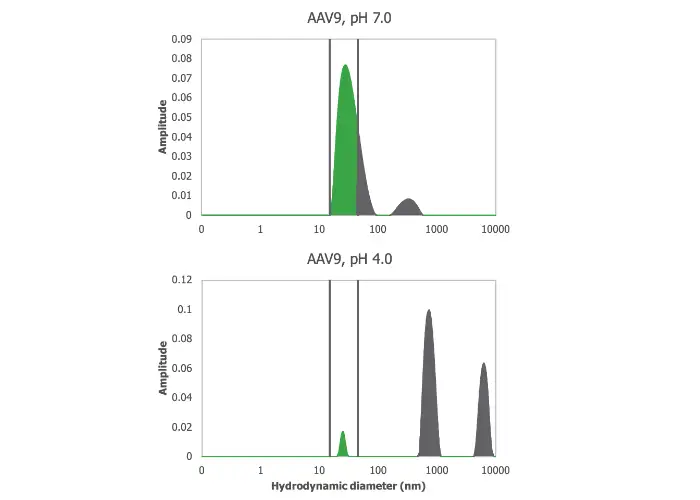 AAV9 不同 pH 緩衝液條件下的聚集分析比較 - pH 7.0 與 pH 4.0 環境對病毒載體穩定性影響的 DLS 粒徑分布圖
