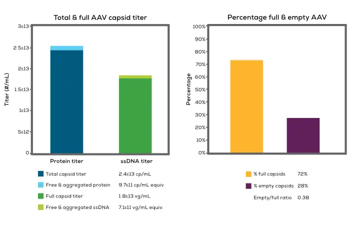 AAV Total Capsid Titer 與 Full Capsid Titer 定量結果 - 顯示 Protein Titer、ssDNA Titer 以及 Percentage Full 與 Empty 比例分析圖表