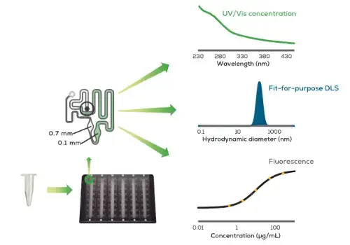 Stunner 微流體盤雙光徑設計 - 0.1mm 與 0.7mm 固定光徑提供 0.03-275 OD 寬動態範圍