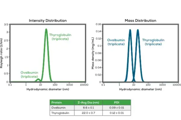 Stunner DLS 粒徑分析 - Ovalbumin 與 Thyroglobulin 的質量分布與強度分布展示高重現性