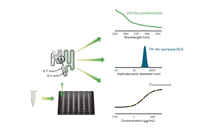 Stunner AF 三合一技術示意圖
