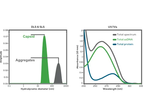 AAV/AdV分析應用圖