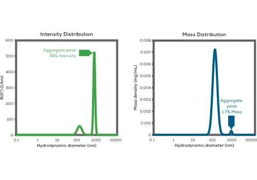 LNP聚集體分析圖
