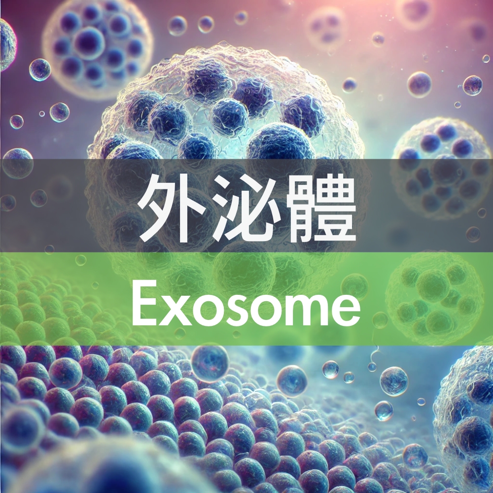 Exosome Cat-logo