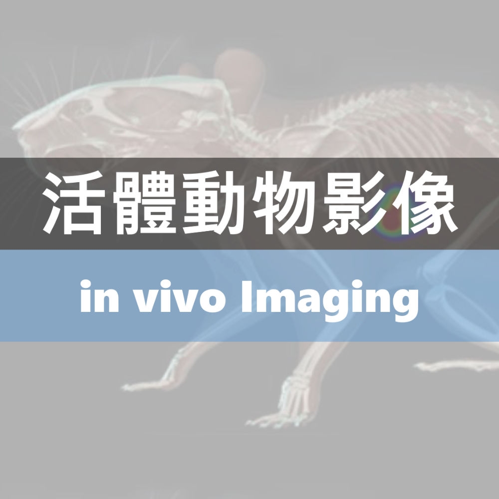 Small Animal imaging
