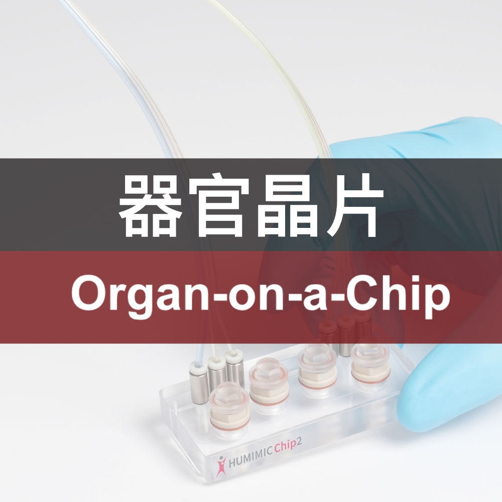 Orgna on a chip 