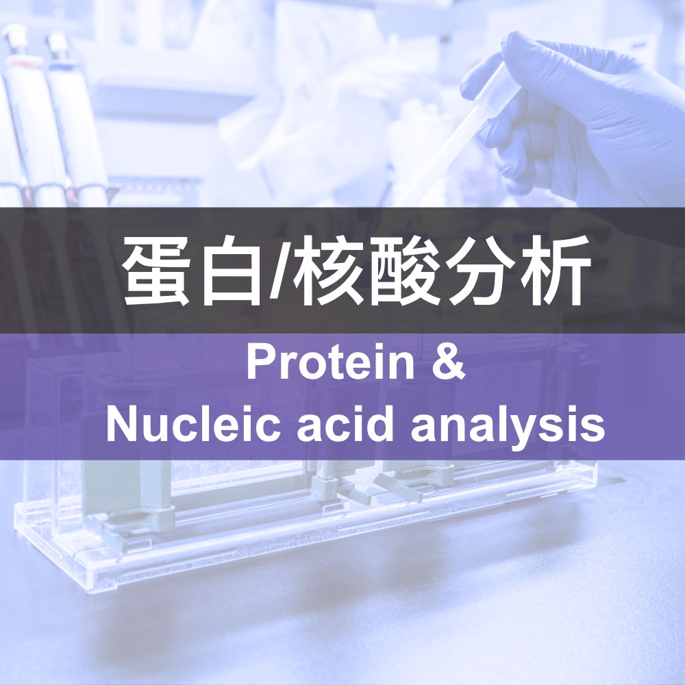 Protein and Nucleic acid analysis