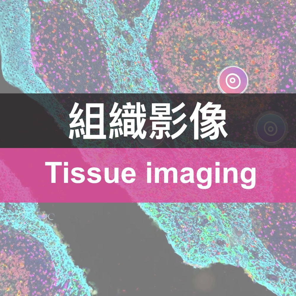 Tissue Imaging