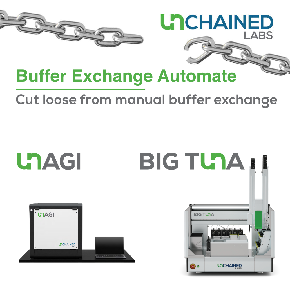 BX_sqLogo_1000x1000_1