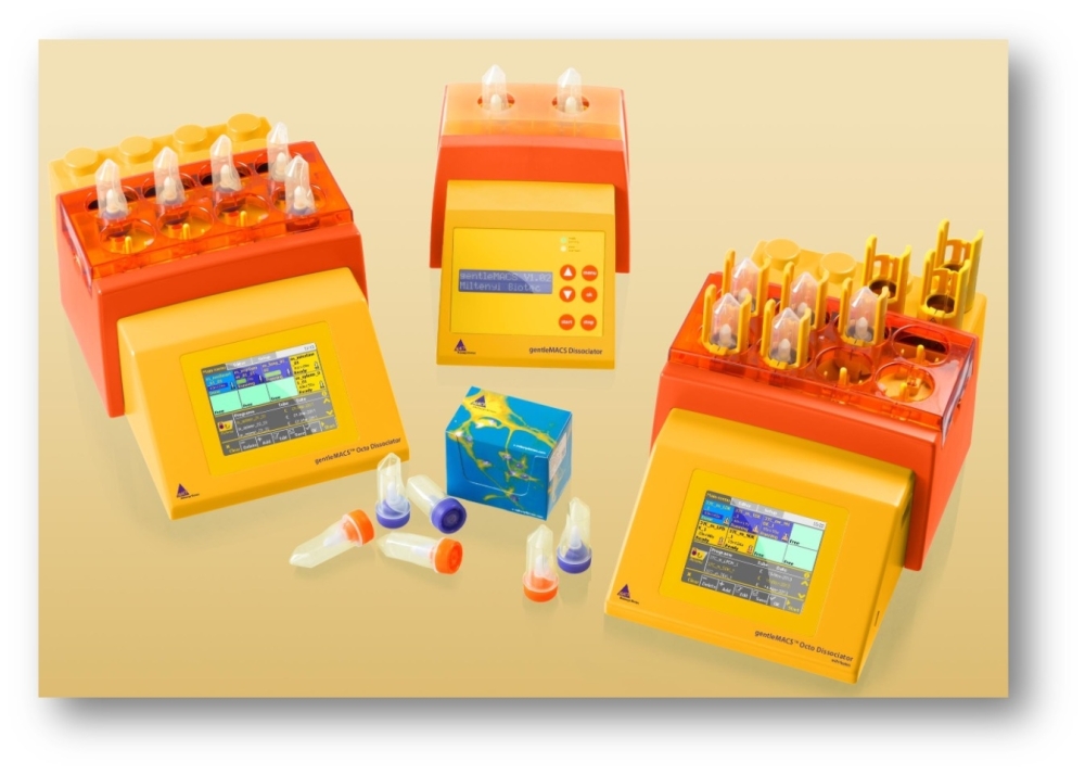 gM Dissociators family